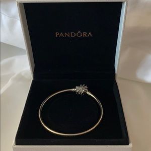 Pandora Bangle